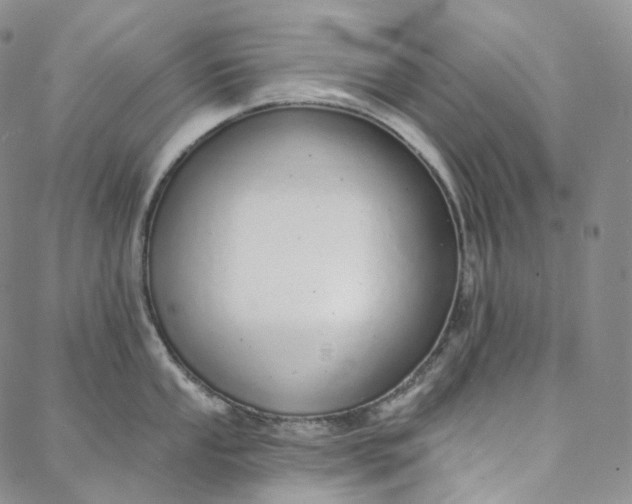 X0000088021053200705251047