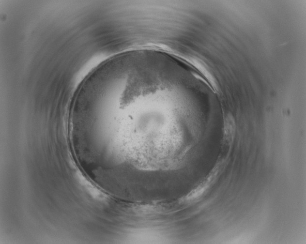 X0000088021054200705251047