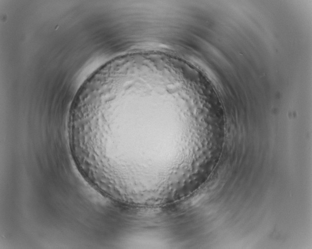 X0000088021055200705251047