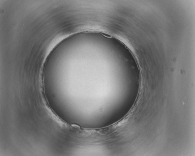 X0000088021056200705251047