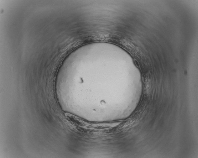 X0000088021057200705251046