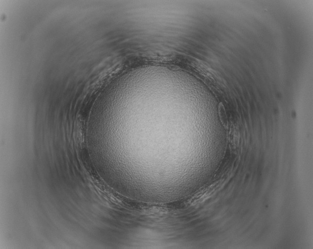 X0000088021058200705251046