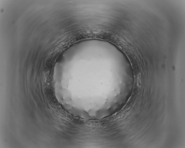 X0000088021059200705251046