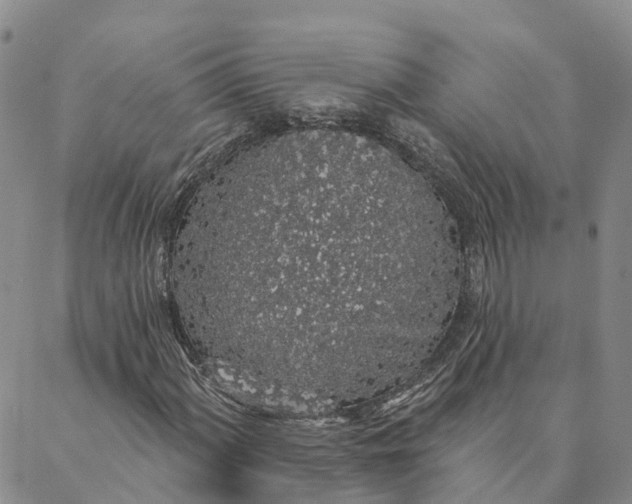 X0000088021060200705251046