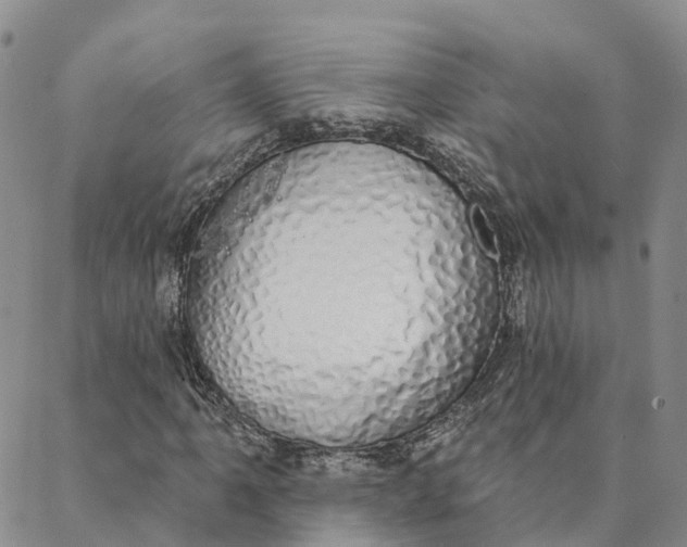 X0000088021061200705251046