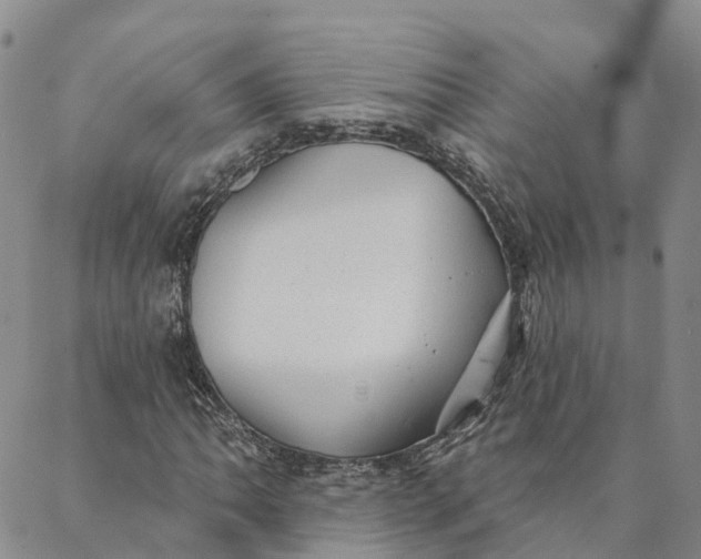 X0000088021062200705251046