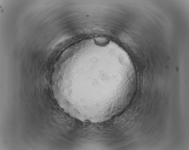 X0000088021063200705251046