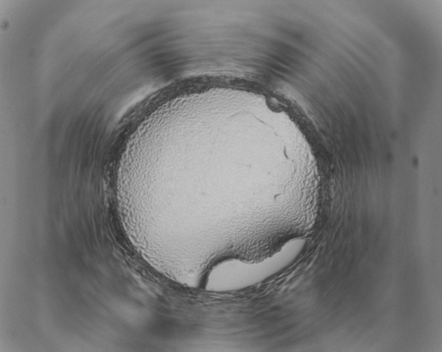 X0000088021064200705251046