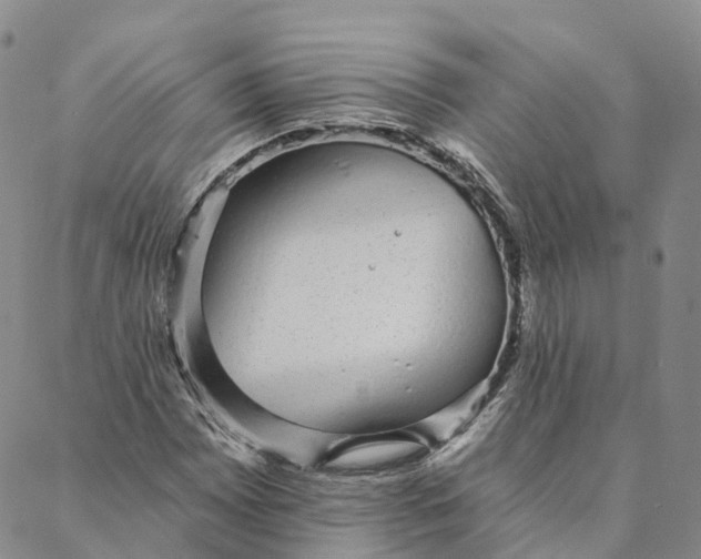 X0000088021065200705251046