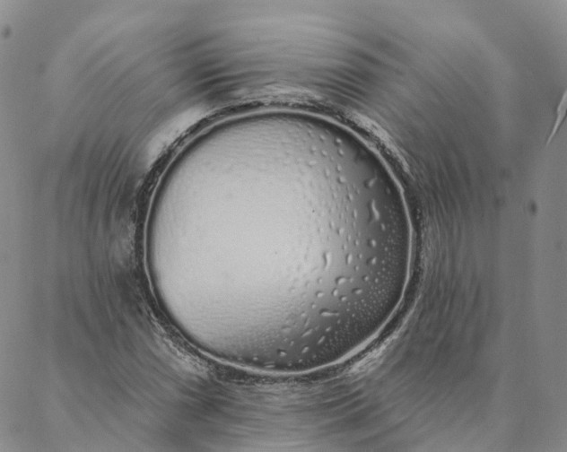 X0000088021066200705251046