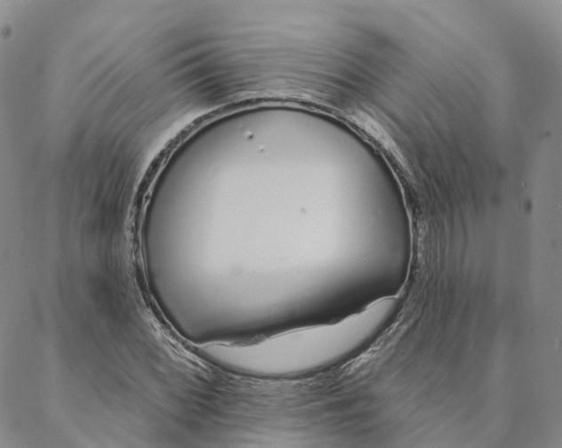 X0000088021068200705251046