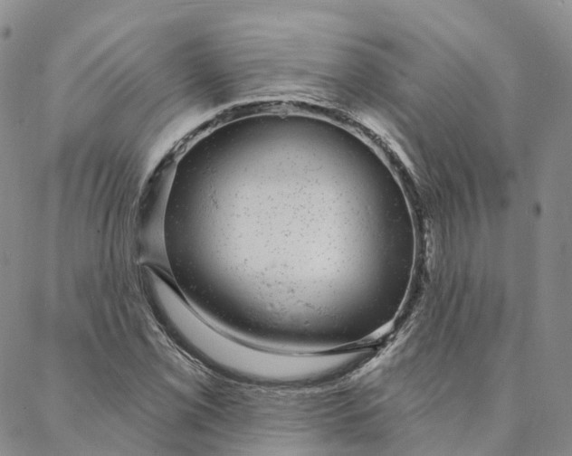 X0000088021069200705251046