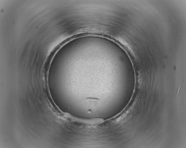 X0000088021070200705251046