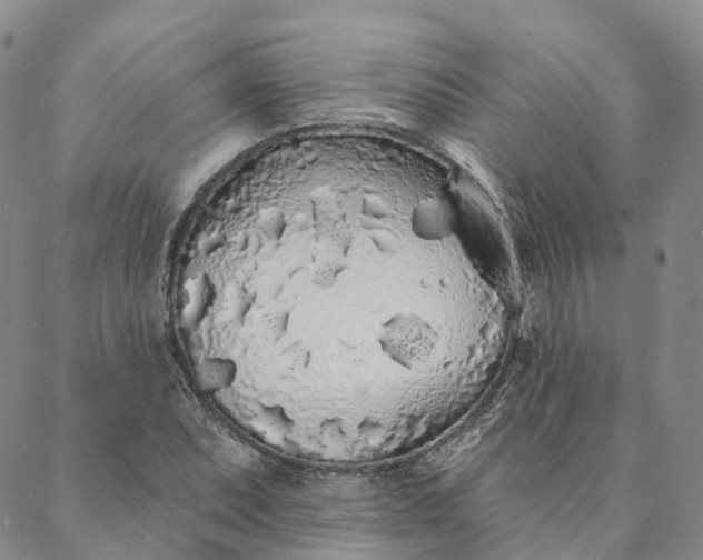 X0000088021071200705251046