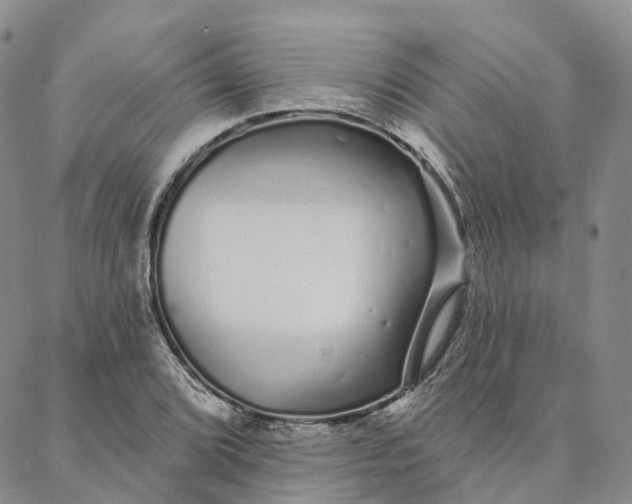 X0000088021072200705251046