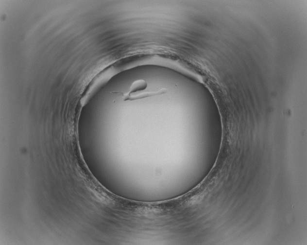 X0000088021073200705251046