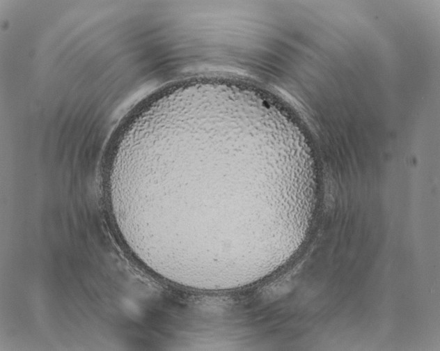 X0000088021074200705251046