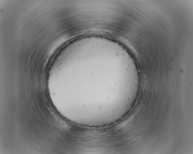 X0000088021075200705251046