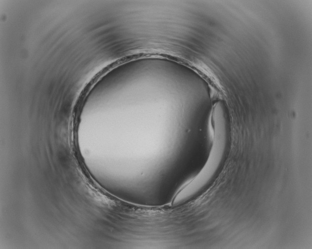 X0000088021076200705251046