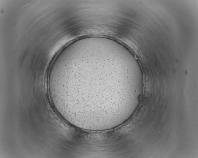 X0000088021078200705251046