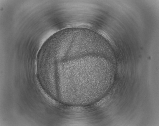 X0000088021079200705251046