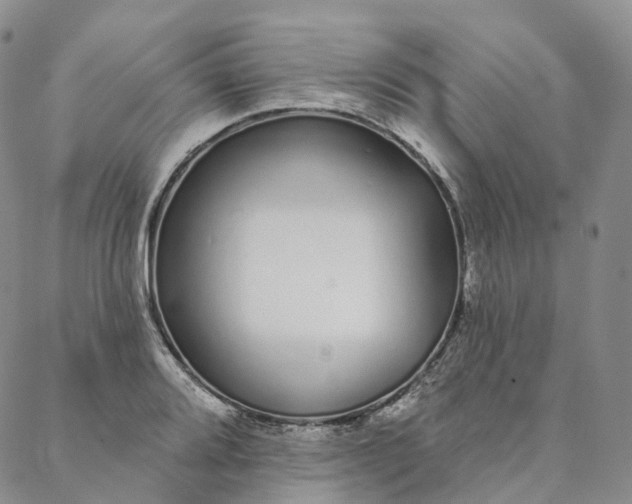 X0000088021080200705251046