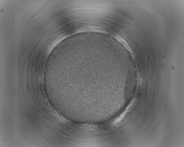 X0000088021081200705251046