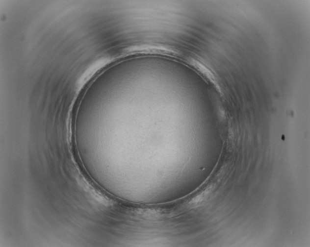 X0000088021082200705251046