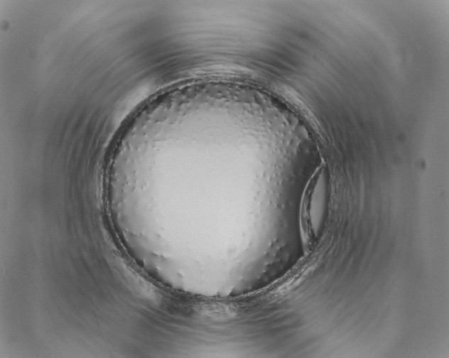 X0000088021083200705251046