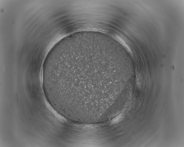 X0000088021084200705251046