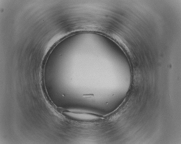 X0000088021085200705251046