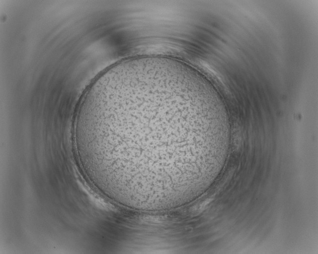 X0000088021086200705251046