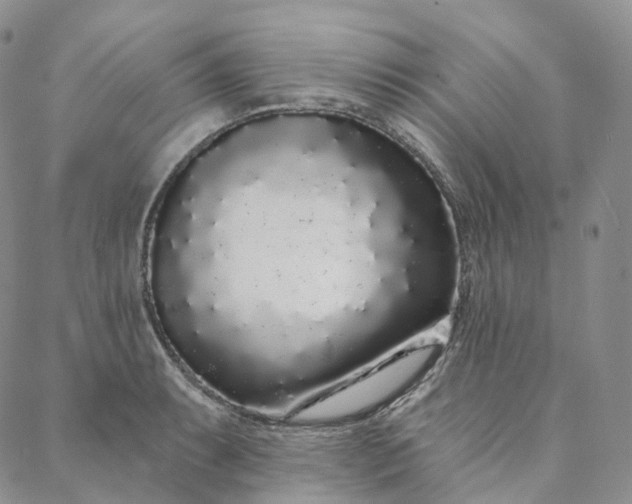 X0000088021087200705251046