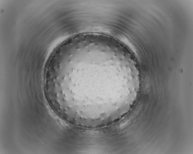 X0000088021088200705251045