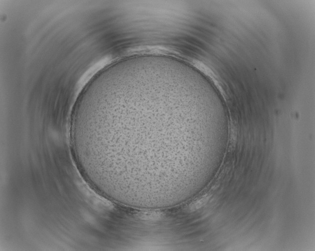 X0000088021090200705251045