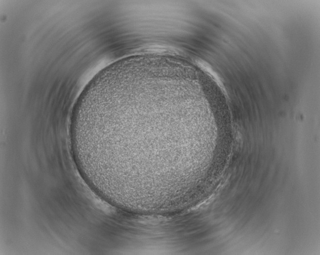 X0000088021091200705251045