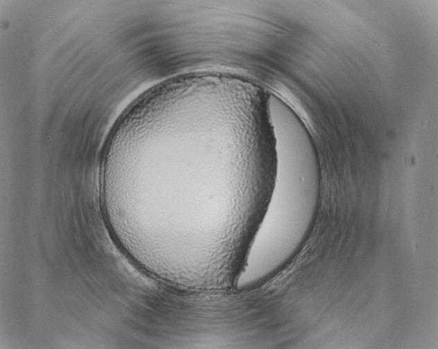 X0000088021092200705251045