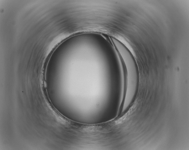 X0000088021093200705251045