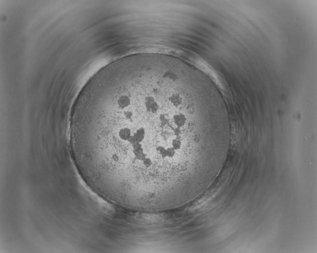 X0000088021095200705251045