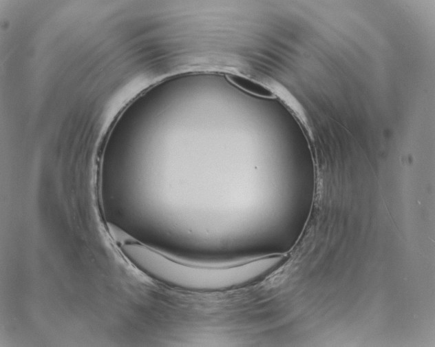 X0000088021096200705251045