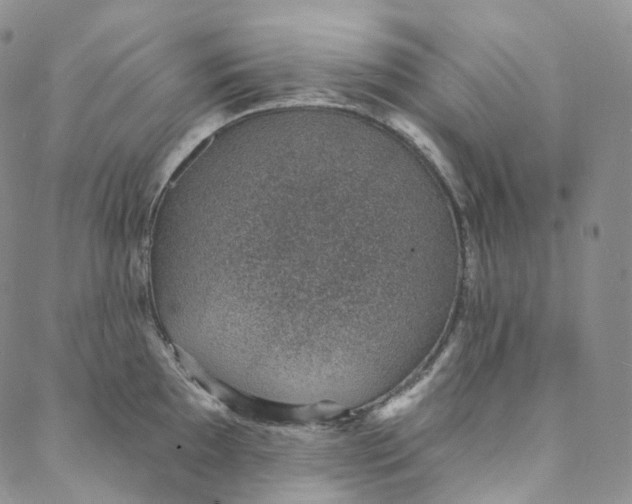 X0000088021097200705251045