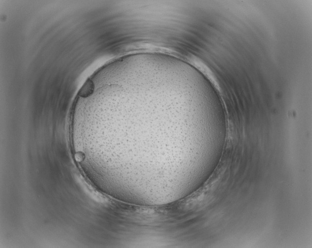 X0000088021098200705251045