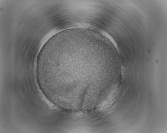 X0000088021099200705251045