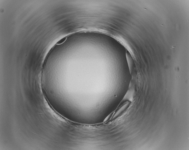 X0000088021100200705251045