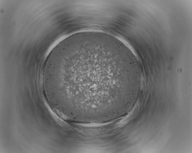 X0000088021101200705251045