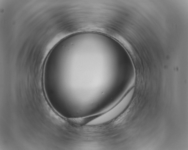 X0000088021102200705251045