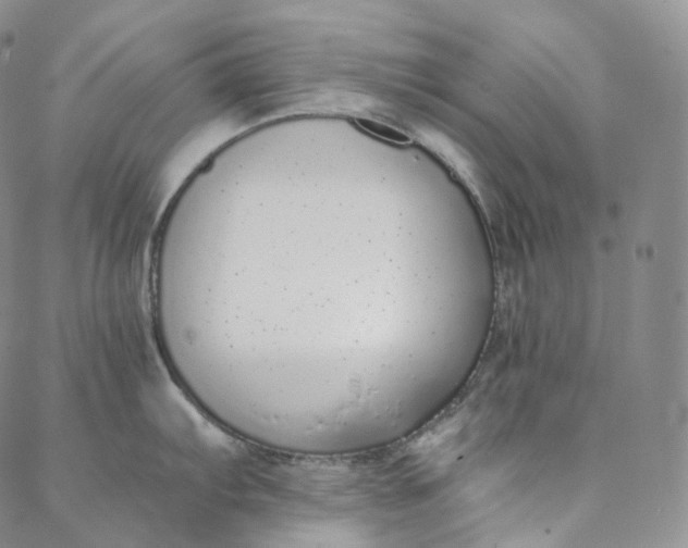 X0000088021103200705251045