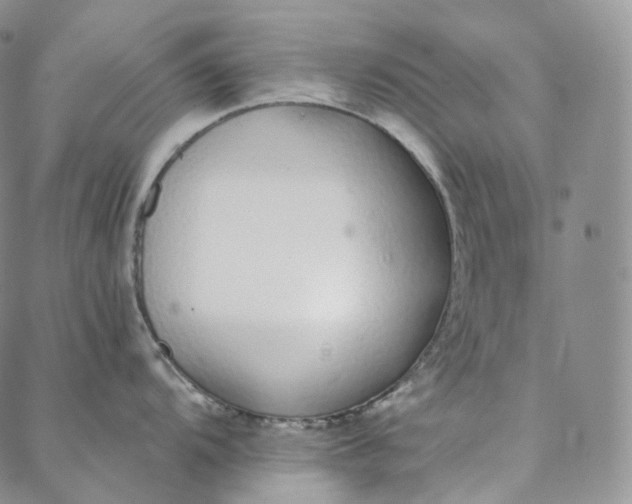 X0000088021104200705251045