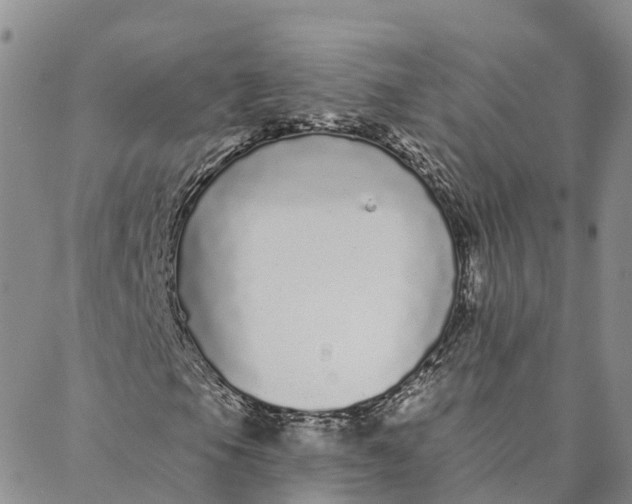 X0000088021105200705251044