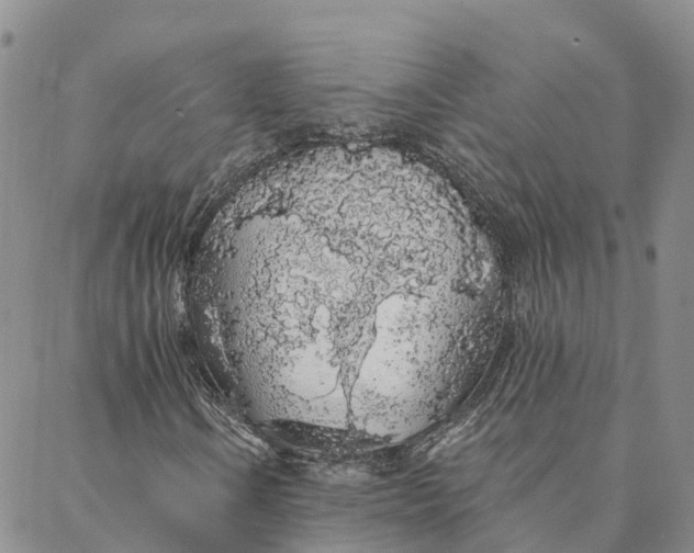 X0000088021106200705251044